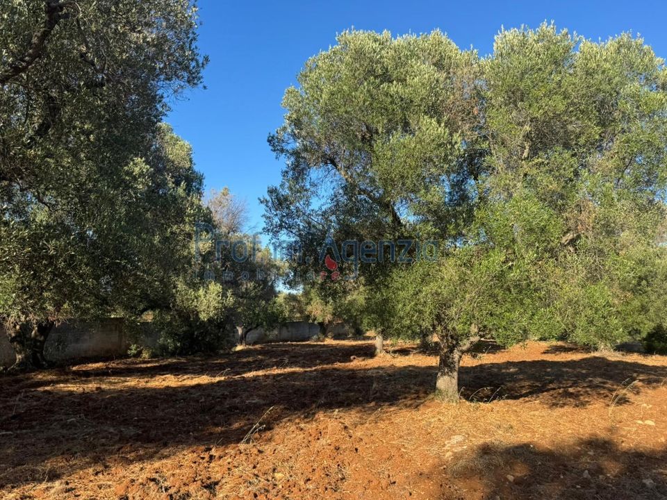 Helårsgrund i Carovigno, Brindisi - foto 5